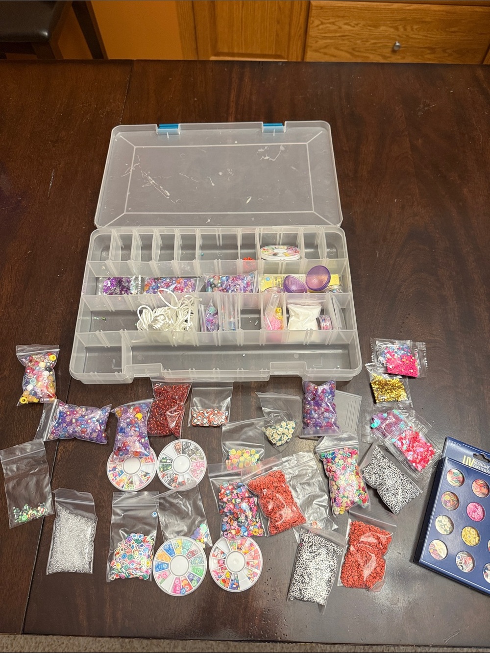 Bundle of beads and case.